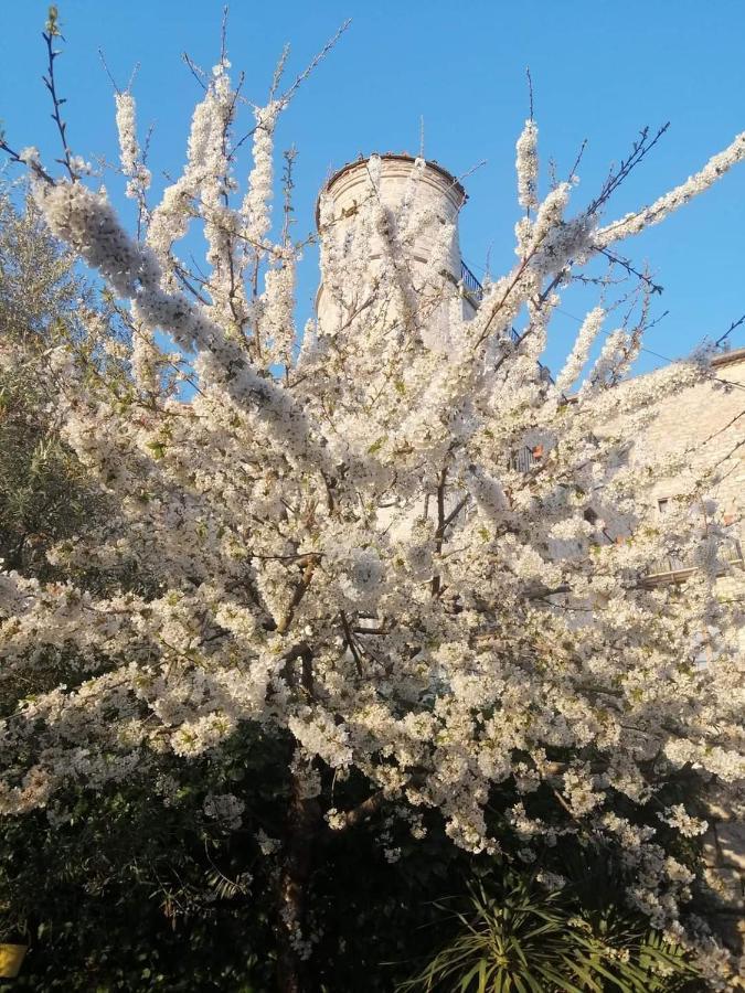 B&B Vicidomini San Marco dei Cavoti 외부 사진